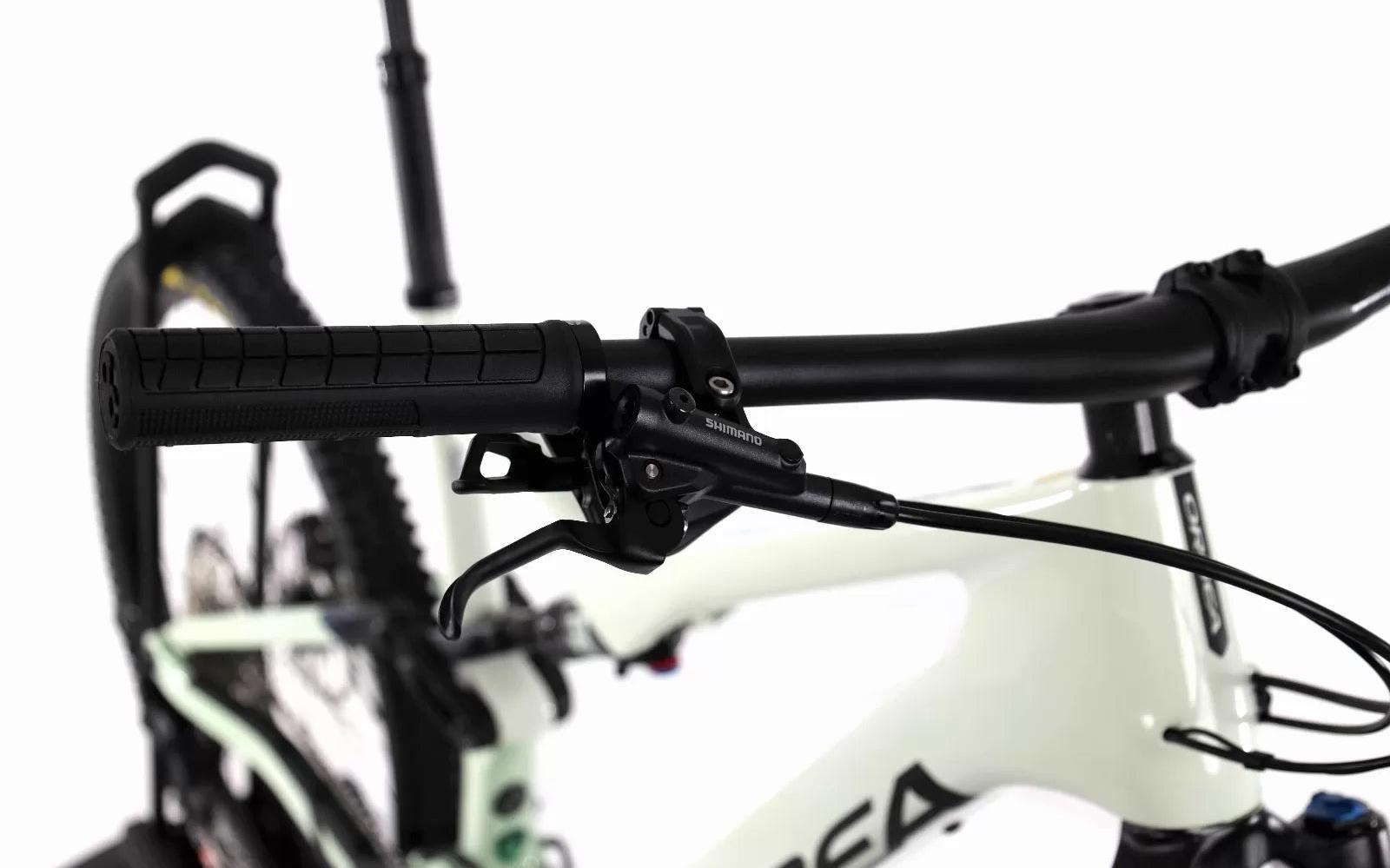 E-Bike Orbea Rise M20, Usata, 2022, Valencia