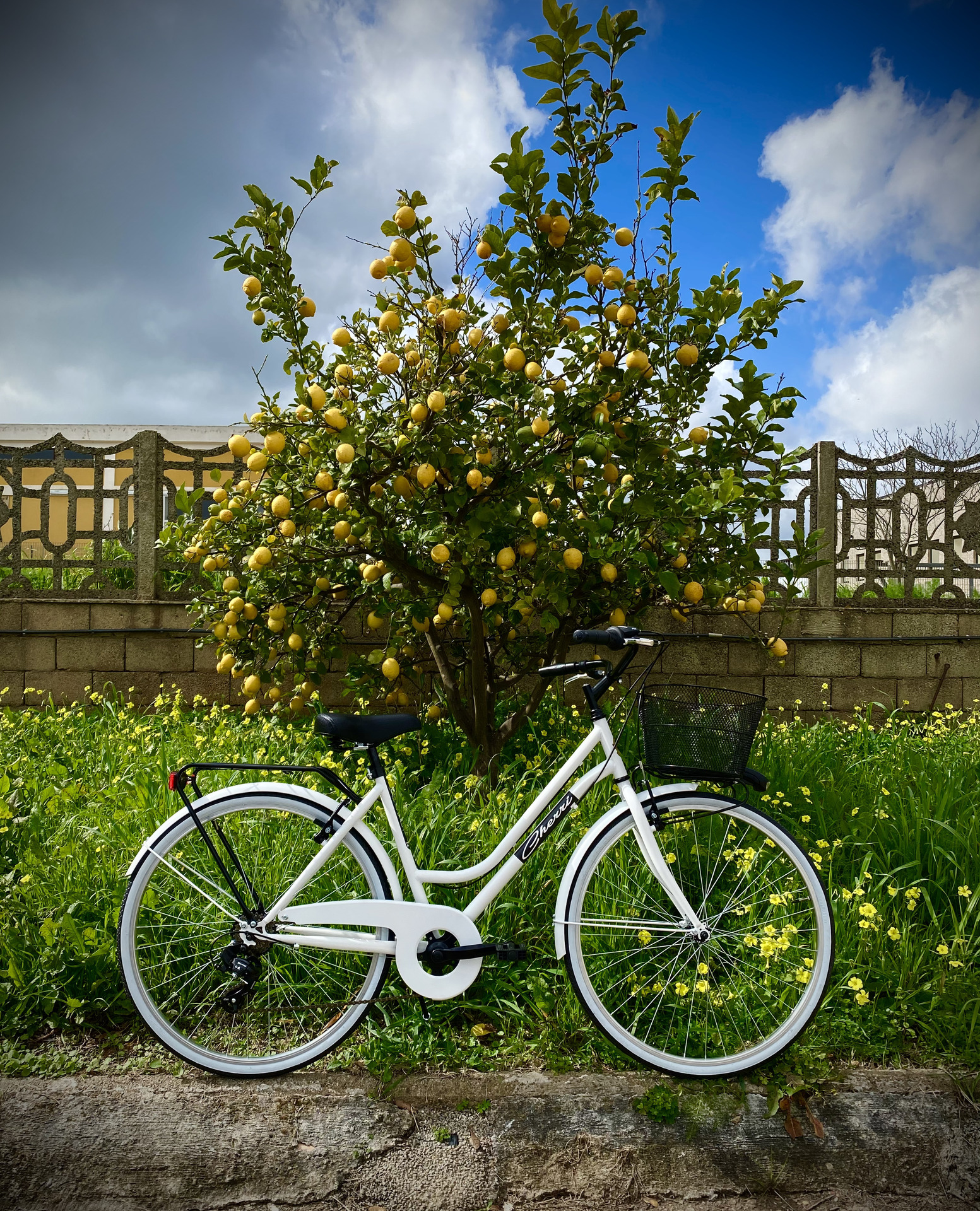 bike cover