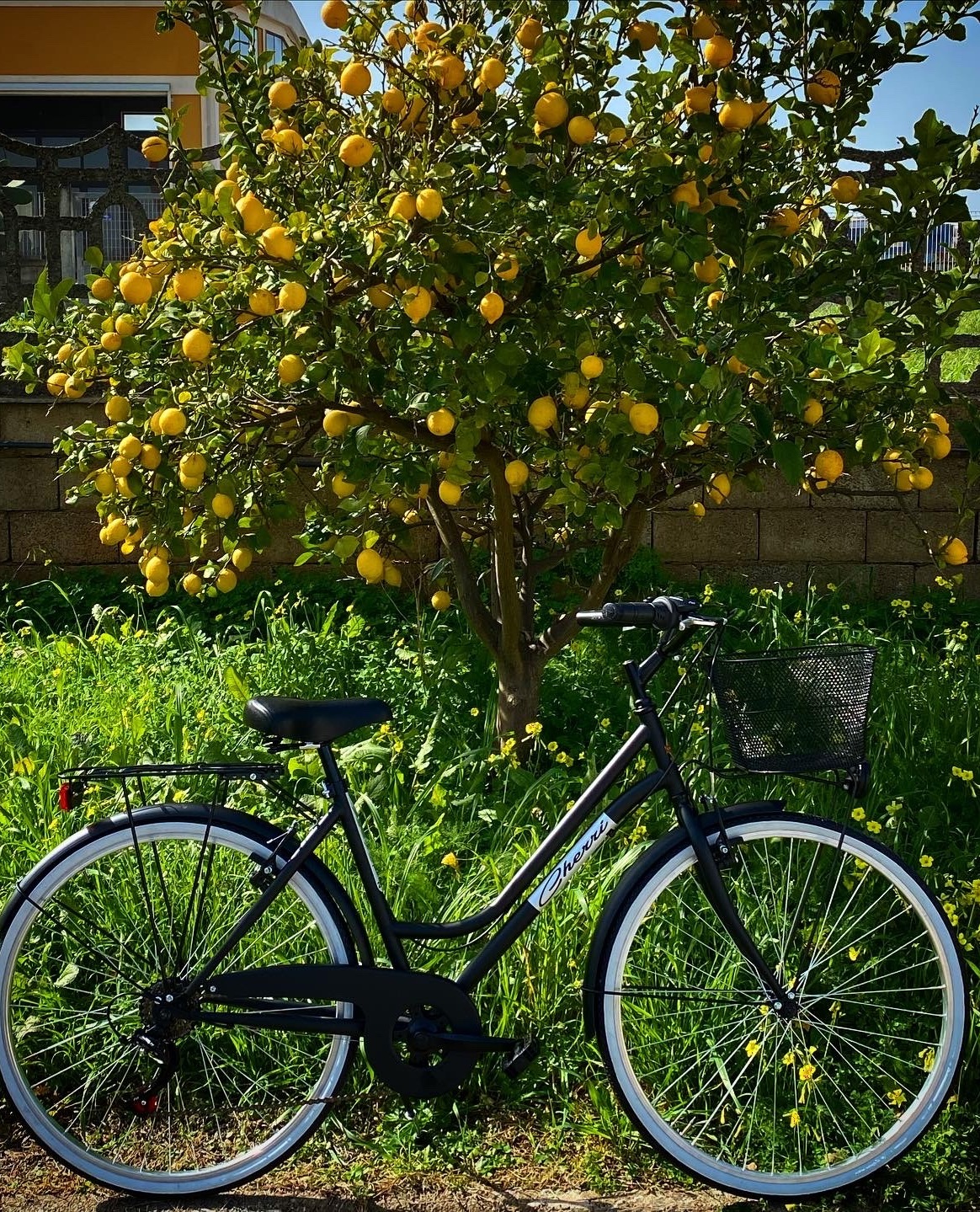 bike cover