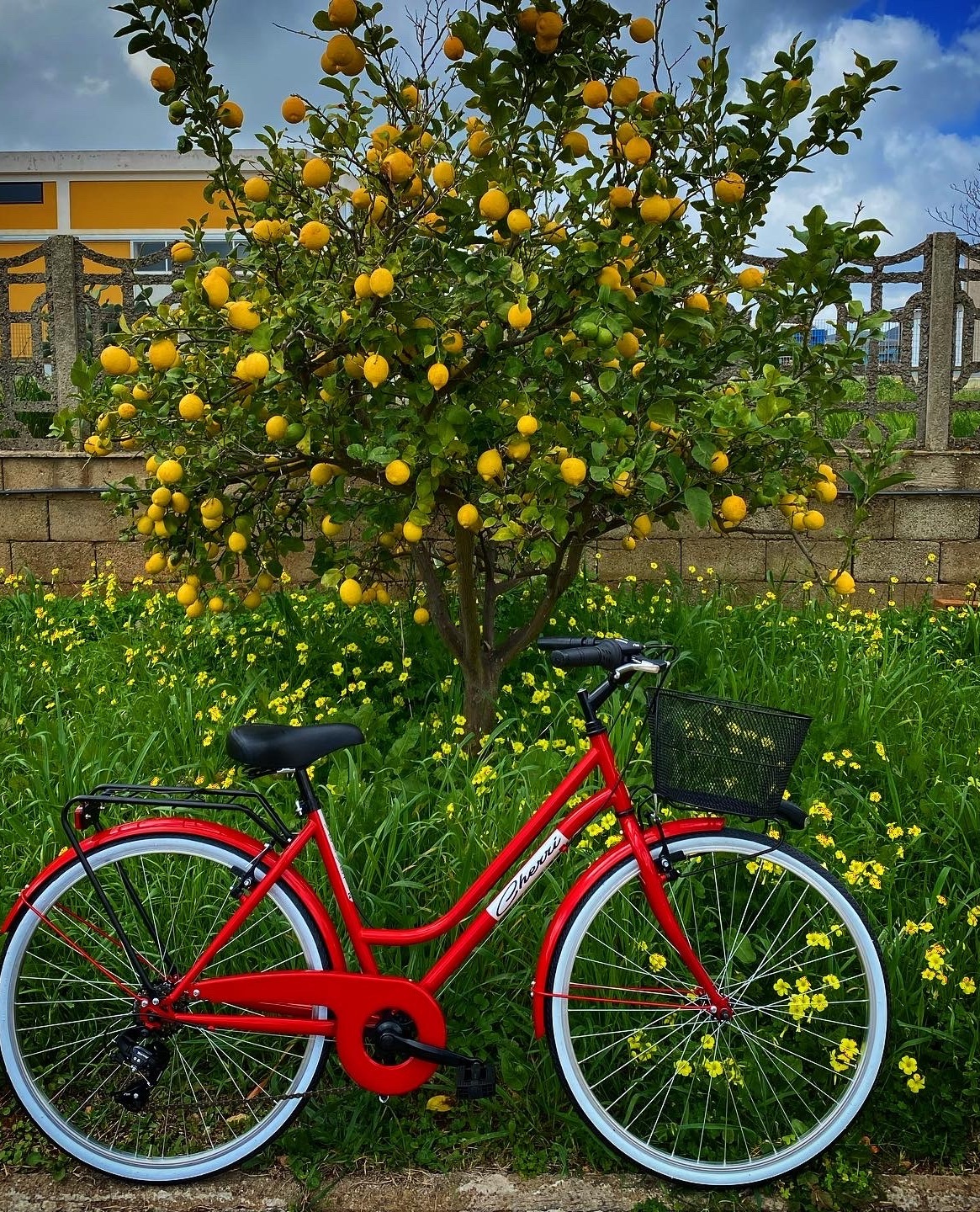 bike cover